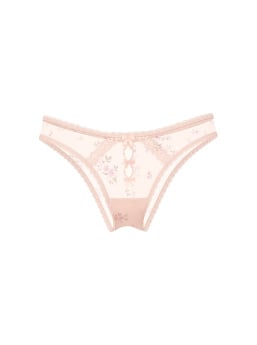 Sheer Lace-Trim Brazilian Panty