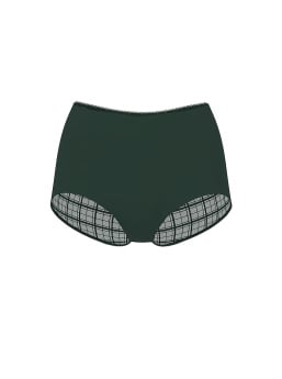 No-Show Plaid Mesh Cheeky Panty