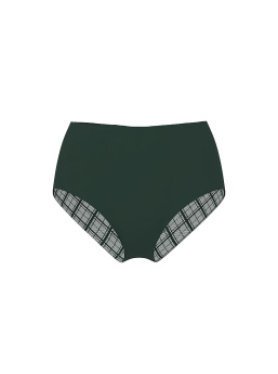 No-Show Plaid Mesh Modern Brief Panty