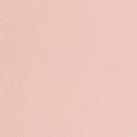 Bare Pink 