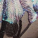 11271571-7BPB