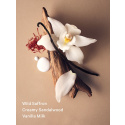 Bare Sueded Vanilla 