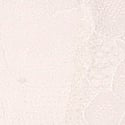11250535-71YN