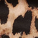 Leopard Print 