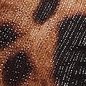 Shimmer Leopard 