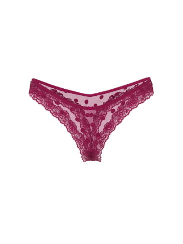 Sheer Heritage Dot Lace-Trim Thong Panty