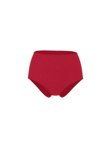 Body By Victoria Flex Shimmer Modern Brief Panty