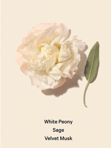 Fine Fragrance Mist
