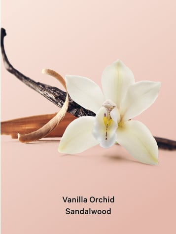 Coconut Milk Rose Hydrating Body Lotion