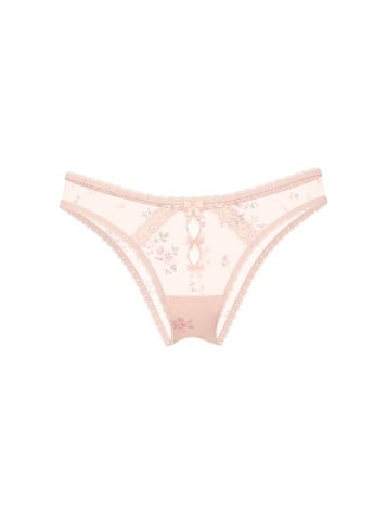 Sheer Lace-Trim Brazilian Panty