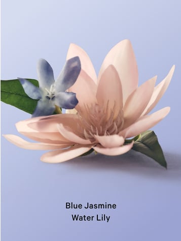 Blue Jasmine Water Lily Cream Body Wash