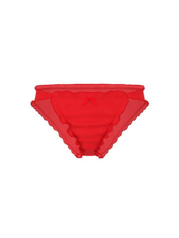 Heart Chiffon Bikini Panty