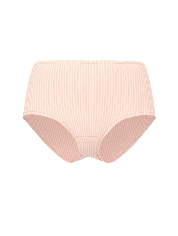 Body By Victoria Flex Shadow Stripe Modern Brief Panty